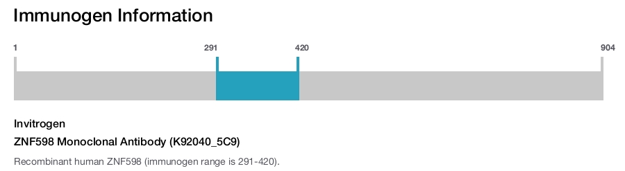 ZNF598 Monoclonal Antibody (K92040_5C9)