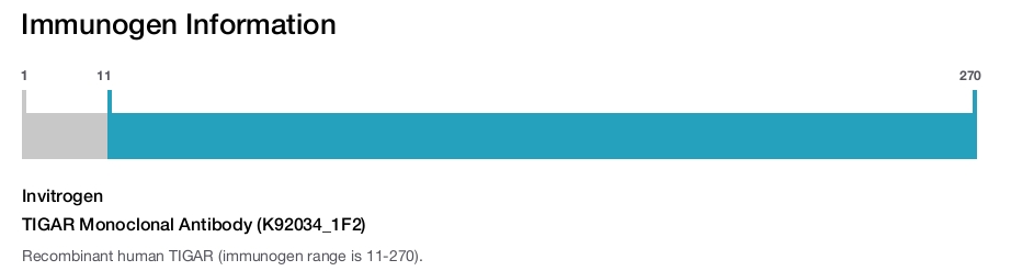 TIGAR Monoclonal Antibody (K92034_1F2)