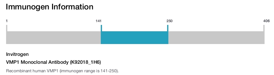 VMP1 Monoclonal Antibody (K92018_1H6)