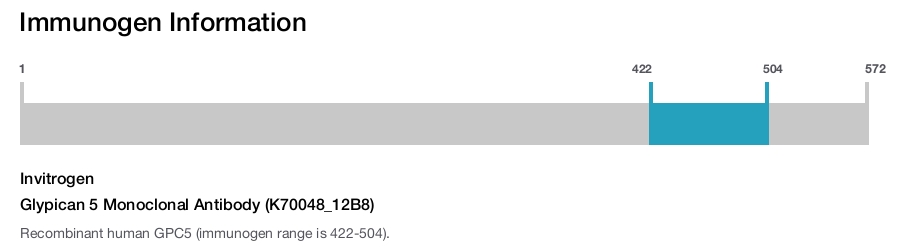 Glypican 5 Monoclonal Antibody (K70048_12B8)