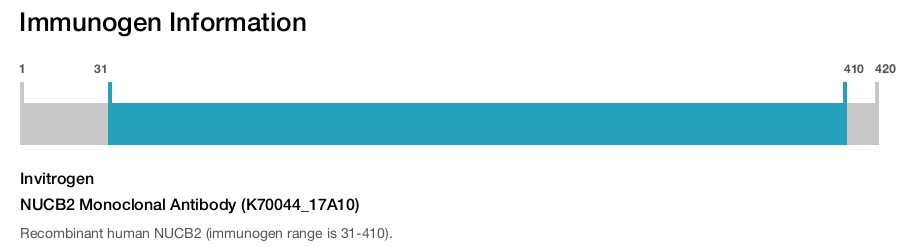 NUCB2 Monoclonal Antibody (K70044_17A10)