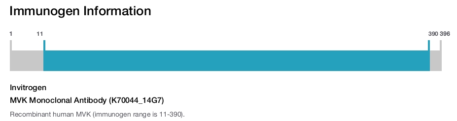 MVK Monoclonal Antibody (K70044_14G7)