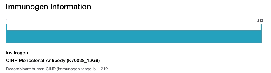 CINP Monoclonal Antibody (K70038_12G9)