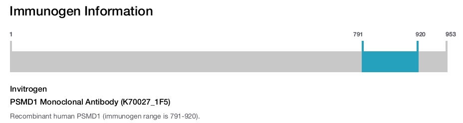 PSMD1 Monoclonal Antibody (K70027_1F5)