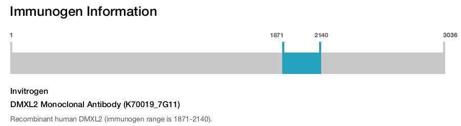 DMXL2 Monoclonal Antibody (K70019_7G11)
