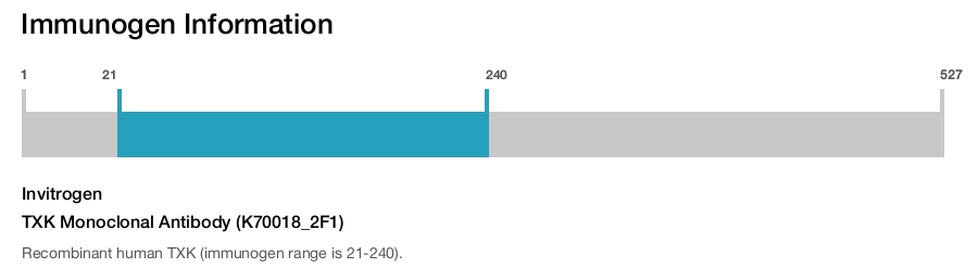 TXK Monoclonal Antibody (K70018_2F1)