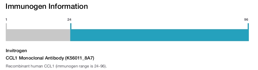 CCL1 Monoclonal Antibody (K56011_8A7)
