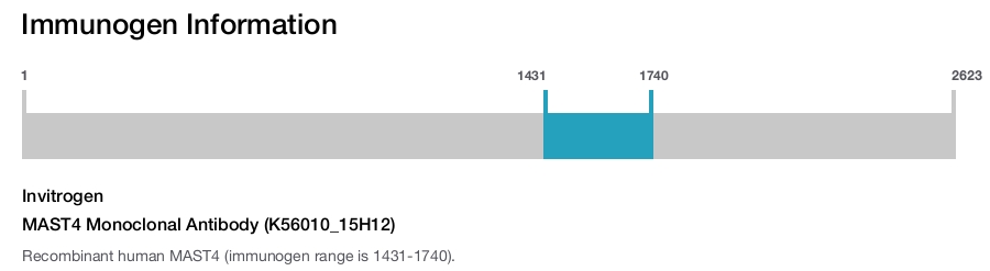 MAST4 Monoclonal Antibody (K56010_15H12)