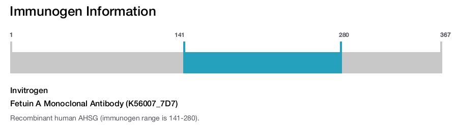 Fetuin A Monoclonal Antibody (K56007_7D7)