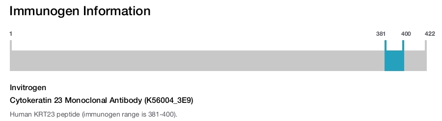Cytokeratin 23 Monoclonal Antibody (K56004_3E9)