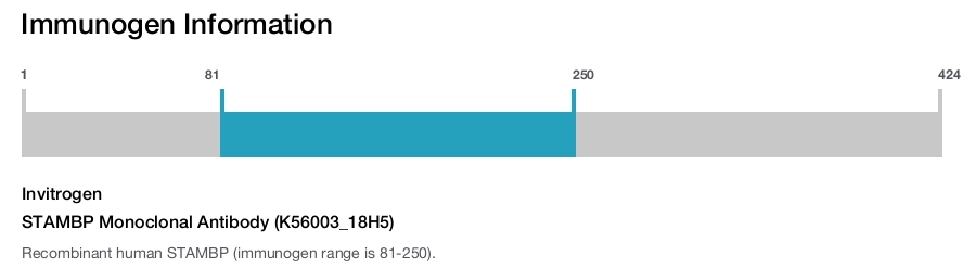 STAMBP Monoclonal Antibody (K56003_18H5)