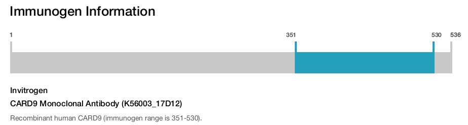 CARD9 Monoclonal Antibody (K56003_17D12)