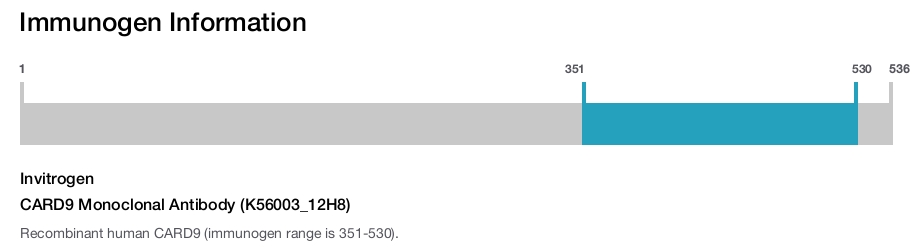 CARD9 Monoclonal Antibody (K56003_12H8)