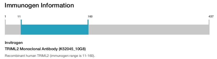 TRIML2 Monoclonal Antibody (K52045_10G8)