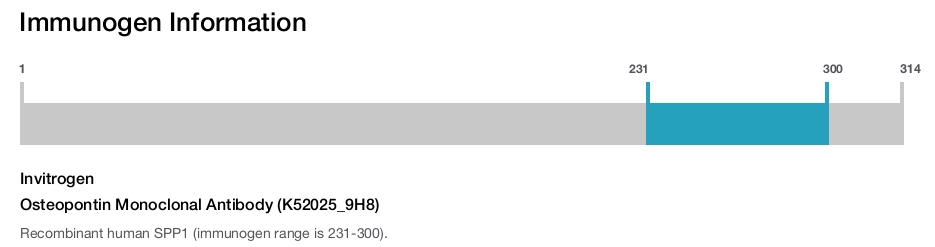 Osteopontin Monoclonal Antibody (K52025_9H8)