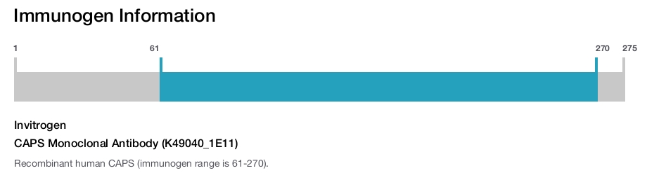 CAPS Monoclonal Antibody (K49040_1E11)