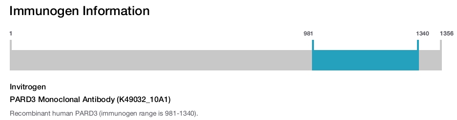 PARD3 Monoclonal Antibody (K49032_10A1)