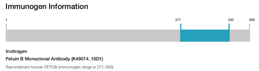 Fetuin B Monoclonal Antibody (K49014_16D1)