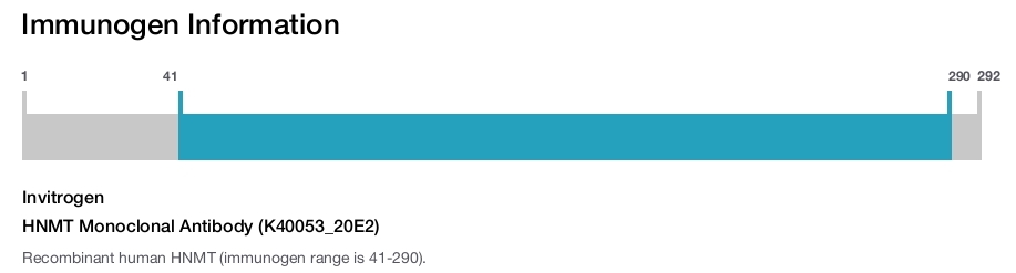HNMT Monoclonal Antibody (K40053_20E2)