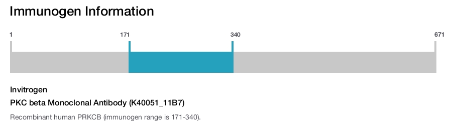 PKC beta Monoclonal Antibody (K40051_11B7)