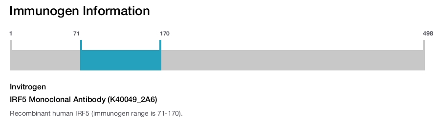IRF5 Monoclonal Antibody (K40049_2A6)