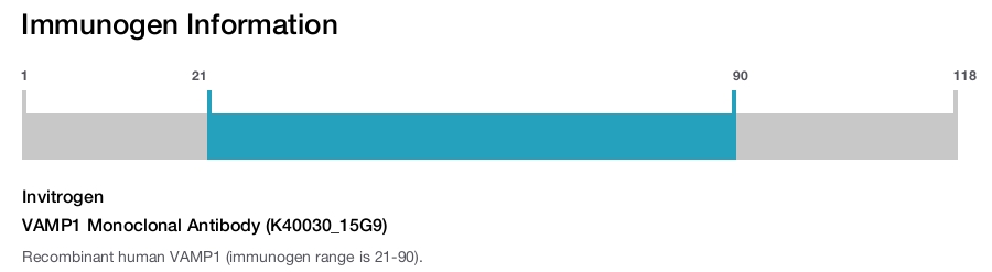 VAMP1 Monoclonal Antibody (K40030_15G9)
