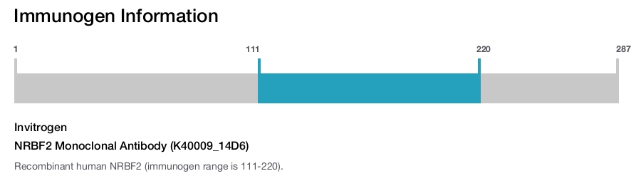 NRBF2 Monoclonal Antibody (K40009_14D6)