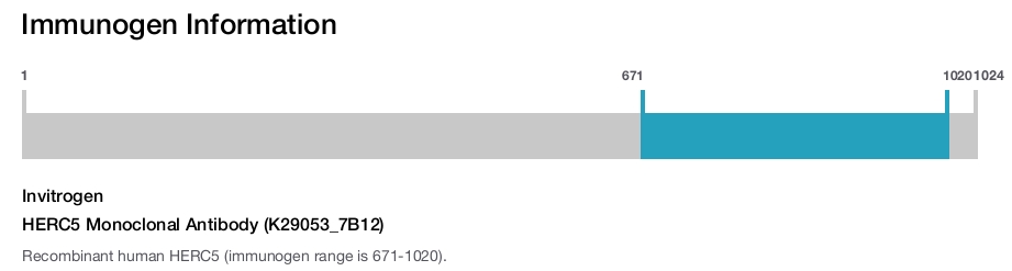 HERC5 Monoclonal Antibody (K29053_7B12)