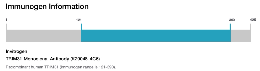 TRIM31 Monoclonal Antibody (K29048_4C6)