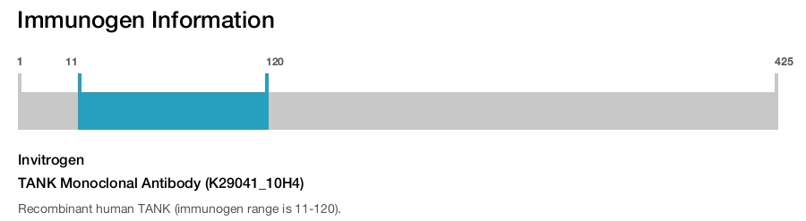 TANK Monoclonal Antibody (K29041_10H4)