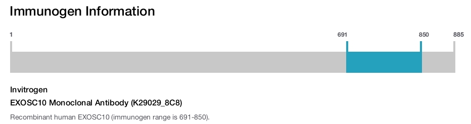 EXOSC10 Monoclonal Antibody (K29029_8C8)