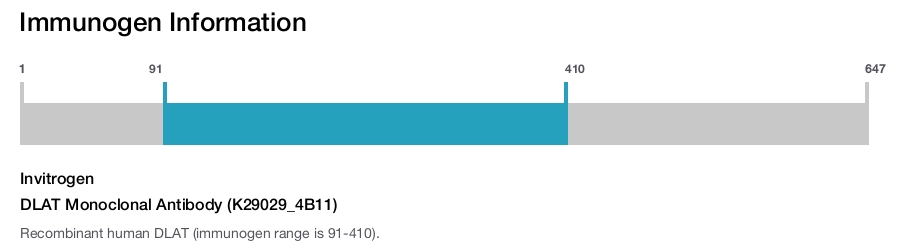 DLAT Monoclonal Antibody (K29029_4B11)