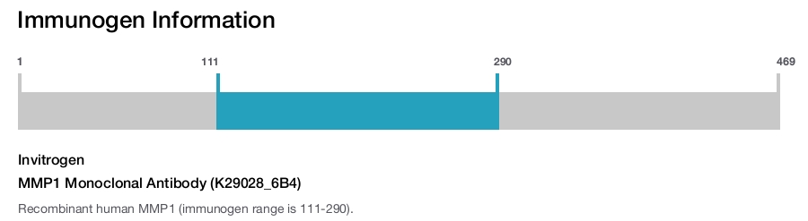 MMP1 Monoclonal Antibody (K29028_6B4)