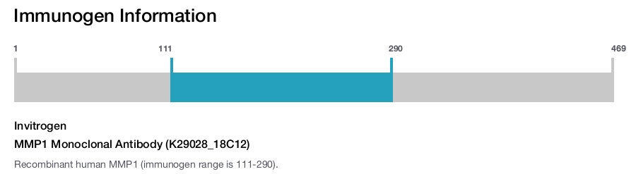 MMP1 Monoclonal Antibody (K29028_18C12)