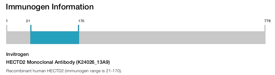 HECTD2 Monoclonal Antibody (K24026_13A9)
