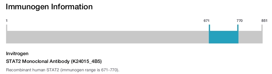 STAT2 Monoclonal Antibody (K24015_4B5)