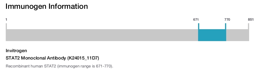 STAT2 Monoclonal Antibody (K24015_11D7)