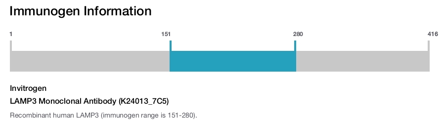 LAMP3 Monoclonal Antibody (K24013_7C5)