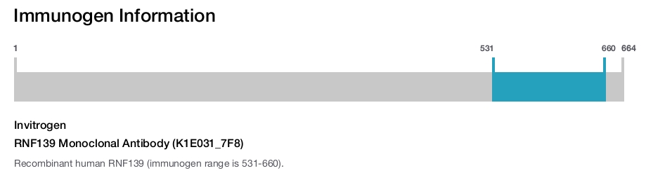 RNF139 Monoclonal Antibody (K1E031_7F8)