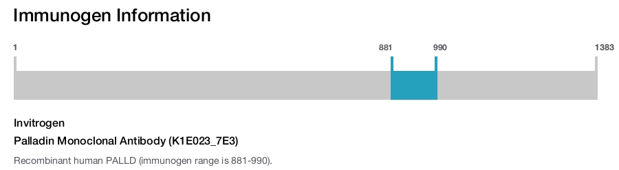 Palladin Monoclonal Antibody (K1E023_7E3)