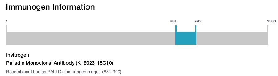 Palladin Monoclonal Antibody (K1E023_15G10)