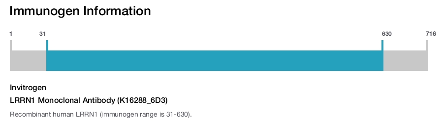 LRRN1 Monoclonal Antibody (K16288_6D3)