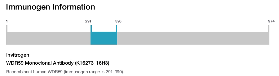 WDR59 Monoclonal Antibody (K16273_16H3)