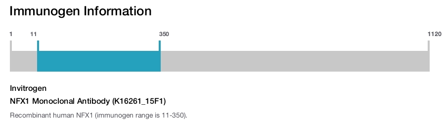 NFX1 Monoclonal Antibody (K16261_15F1)
