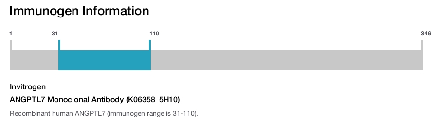 ANGPTL7 Monoclonal Antibody (K06358_5H10)