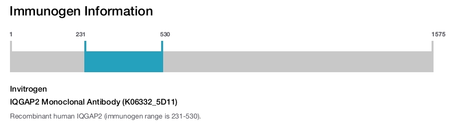 IQGAP2 Monoclonal Antibody (K06332_5D11)