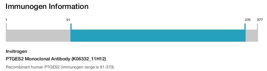 PTGES2 Monoclonal Antibody (K06332_11H12)