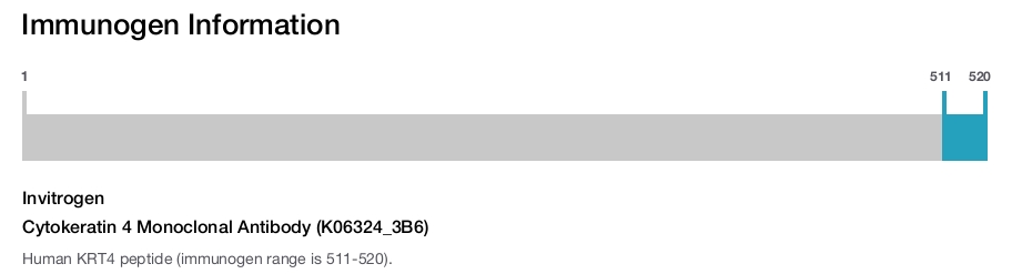Cytokeratin 4 Monoclonal Antibody (K06324_3B6)