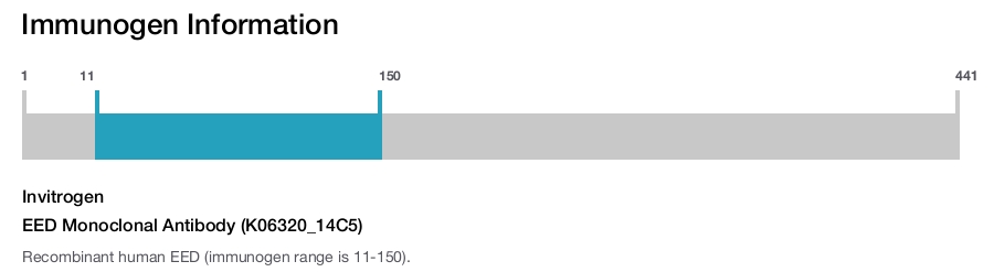 EED Monoclonal Antibody (K06320_14C5)