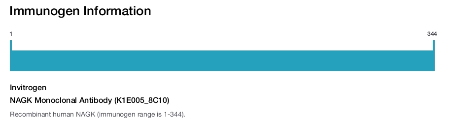 NAGK Monoclonal Antibody (K1E005_8C10)